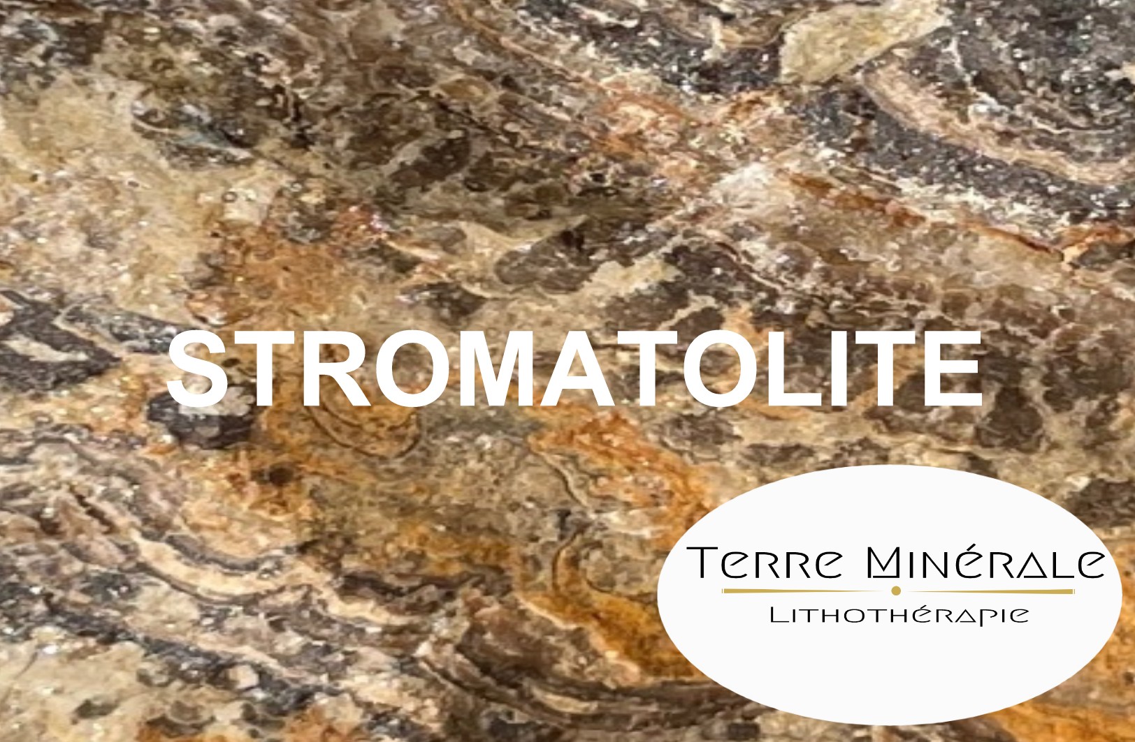 STROMATOLITE - BIJOUX PIERRES LITHOTHÉRAPIE