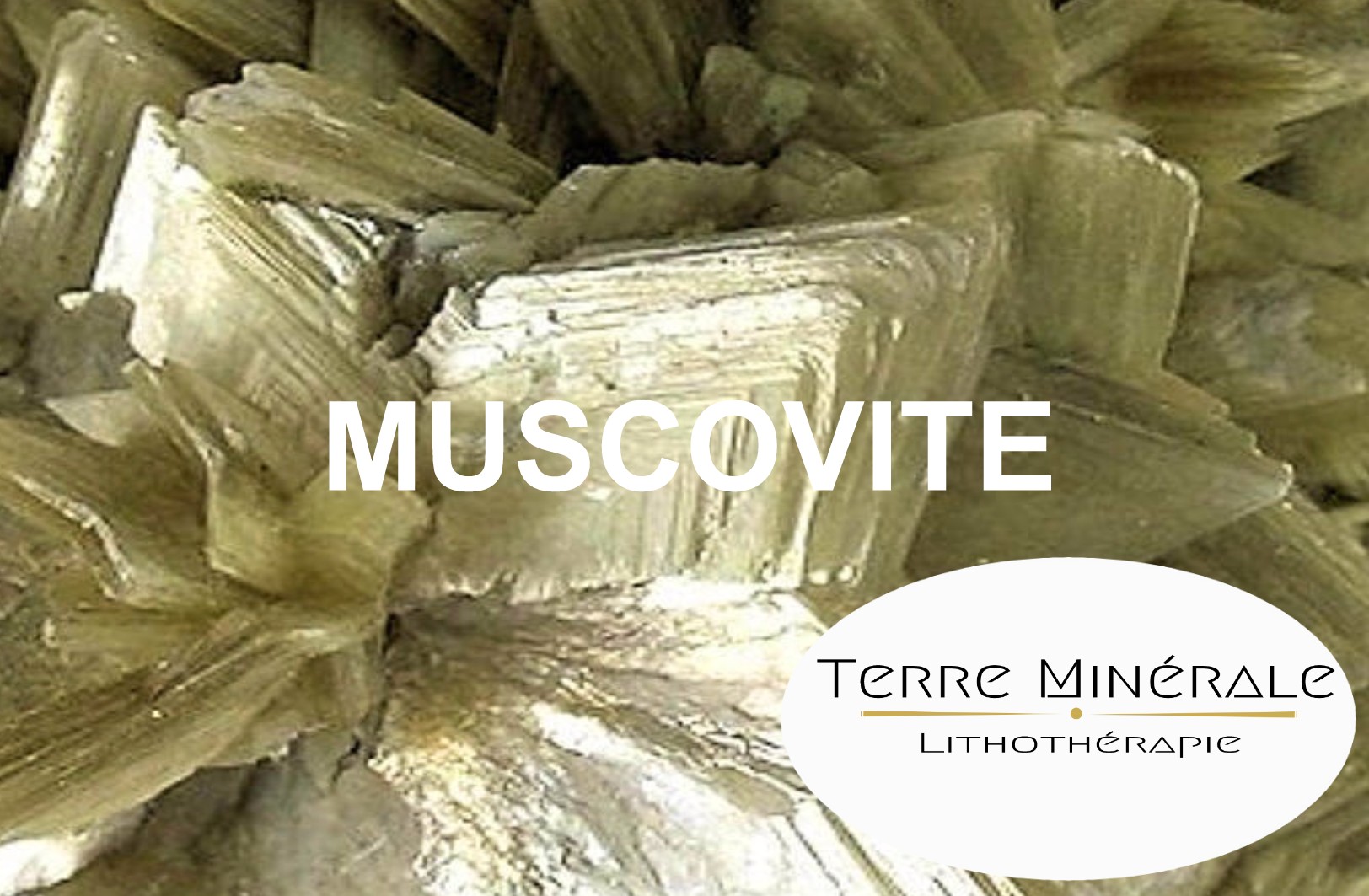 MUSCOVITE -  PIERRES LITHOTHÉRAPIE